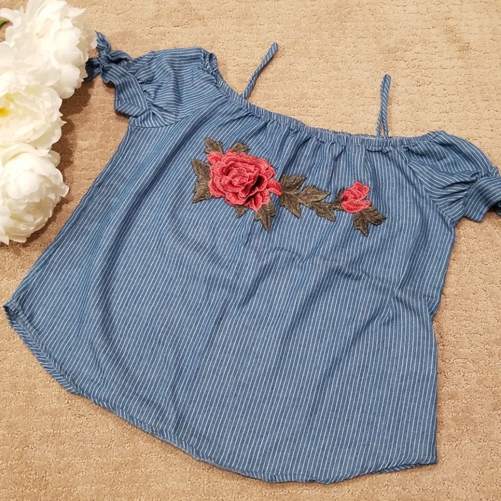 Blue Stripe top with Red Roses
